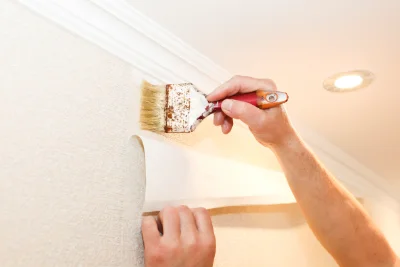 Pose de papier peint à Vauchassis — revêtements muraux et toiles de verre